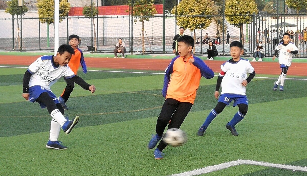 一颗新星 一颗新星
